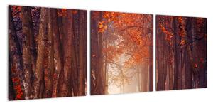 Jesenné les - obraz (Obraz 90x30cm)