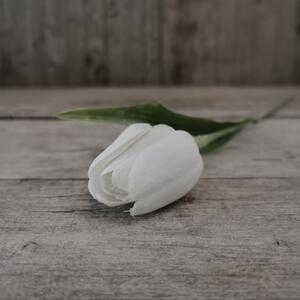 Umelý tulipán biely jemne bielený 43cm cena za 1ks