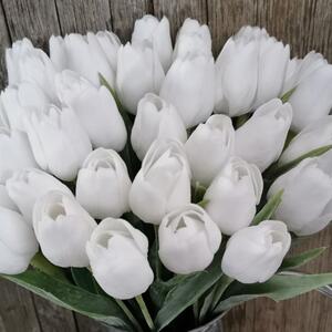 Umelý tulipán biely jemne bielený 43cm cena za 1ks