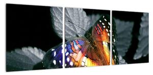 Motýľ na liste - obraz (Obraz 90x30cm)