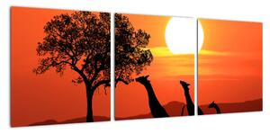 Obraz žirafy pri západe slnka (Obraz 90x30cm)