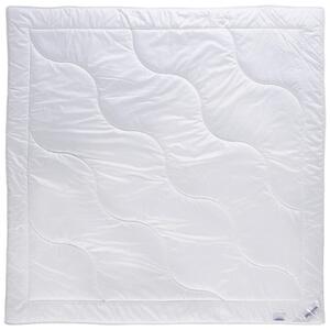 ĽAHKÁ PRIKRÝVKA, 200/200 cm, polyester, rúno, duté vlákno Sleeptex - Prikrývky & vankúše
