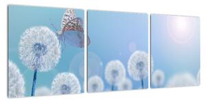 Obraz púpav na modrom pozadí (Obraz 90x30cm)