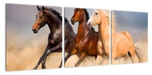 Moderný obraz koní (Obraz 90x30cm)