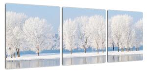 Obraz - zimná príroda (Obraz 90x30cm)