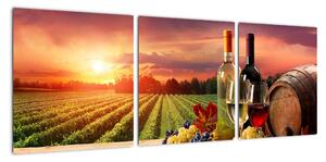 Obraz - víno a vinice pri západe slnka (Obraz 90x30cm)