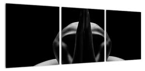 Obraz nahé ženy (Obraz 90x30cm)