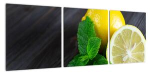 Obraz citrónu na stole (Obraz 90x30cm)