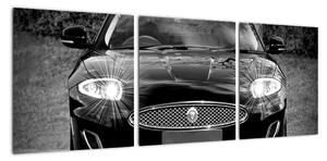 Obraz autá (Obraz 90x30cm)