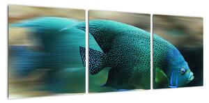 Obraz na stenu - ryby (Obraz 90x30cm)