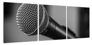 Obraz mikrofónu (Obraz 90x30cm)