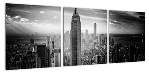 Obraz - New York (Obraz 90x30cm)