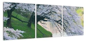 Obraz kvitnúcich stromov (Obraz 90x30cm)