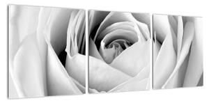 Čiernobiely obraz ruže (Obraz 90x30cm)