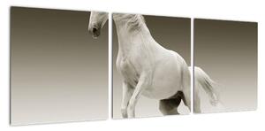 Obrazy bieleho koňa (Obraz 90x30cm)
