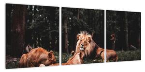 Obrazy - levy v lese (Obraz 90x30cm)