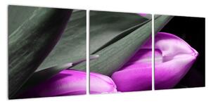 Obraz fialových tulipánov (Obraz 90x30cm)
