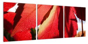 Obraz červených listov (Obraz 90x30cm)