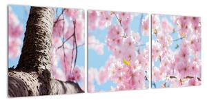 Kvitnúce strom - obraz (Obraz 90x30cm)