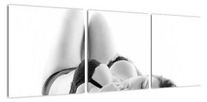 Obrazy nahé ženy (Obraz 90x30cm)