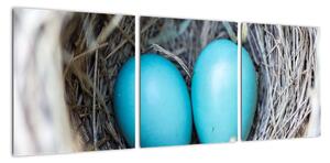 Obraz modrých vajíčok v hniezde (Obraz 90x30cm)