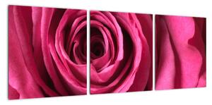 Obraz ružové ruže (Obraz 90x30cm)