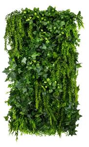 Vertical garden Green Ivy