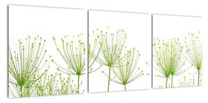 Obraz rastlín na bielom pozadí (Obraz 90x30cm)
