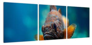 Obraz - ryba (Obraz 90x30cm)