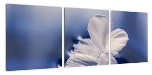 Obraz bieleho kvetu vo vode (Obraz 90x30cm)