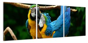 Obraz papagájov na lane (Obraz 90x30cm)