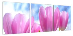 Obraz ružových tulipánov (Obraz 90x30cm)