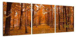 Obraz lesné cesty (Obraz 90x30cm)