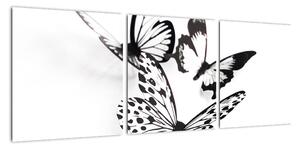 Obraz motýľov (Obraz 90x30cm)