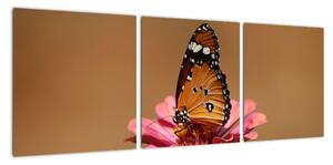 Obraz motýľa (Obraz 90x30cm)