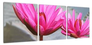 Obraz dvoch kvetov (Obraz 90x30cm)