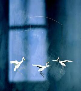 Kinet Crane Dance