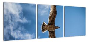 Obraz letiaceho vtáka (Obraz 90x30cm)