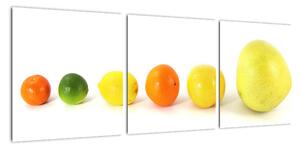 Obraz - ovocie (Obraz 90x30cm)