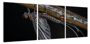 Obraz - hmyz (Obraz 90x30cm)