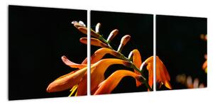 Obraz detailu kvety (Obraz 90x30cm)