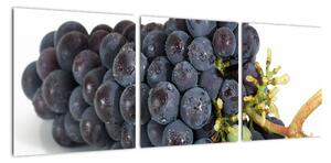 Obraz s hroznovým vínom (Obraz 90x30cm)