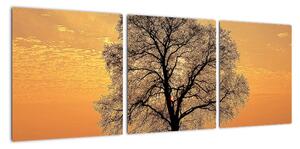 Obraz sa stromom (Obraz 90x30cm)