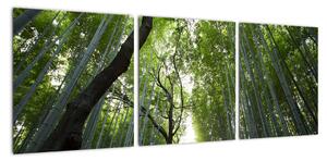 Obraz lesov (Obraz 90x30cm)