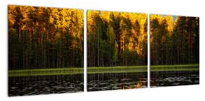 Obraz - jesenná krajina (Obraz 90x30cm)