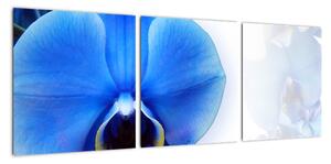 Obraz s orchideí (Obraz 90x30cm)