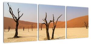 Obraz púšte (Obraz 90x30cm)