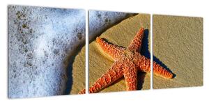 Obraz s morskou hviezdou (Obraz 90x30cm)