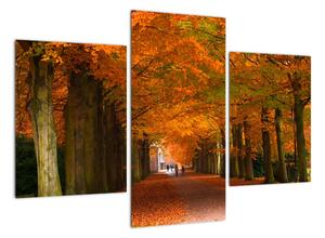 Obraz cesty lesom na jeseň (Obraz 90x60cm)