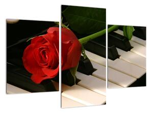 Obraz ruže na klavíri (Obraz 90x60cm)